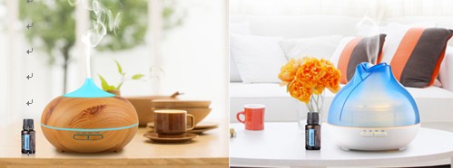 Ůõ3.8YƷѽ2017ڶYƷҾչа