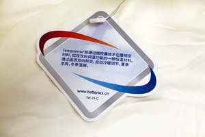 wSƳɹܿ؜ر{(dio)ʲôWأ